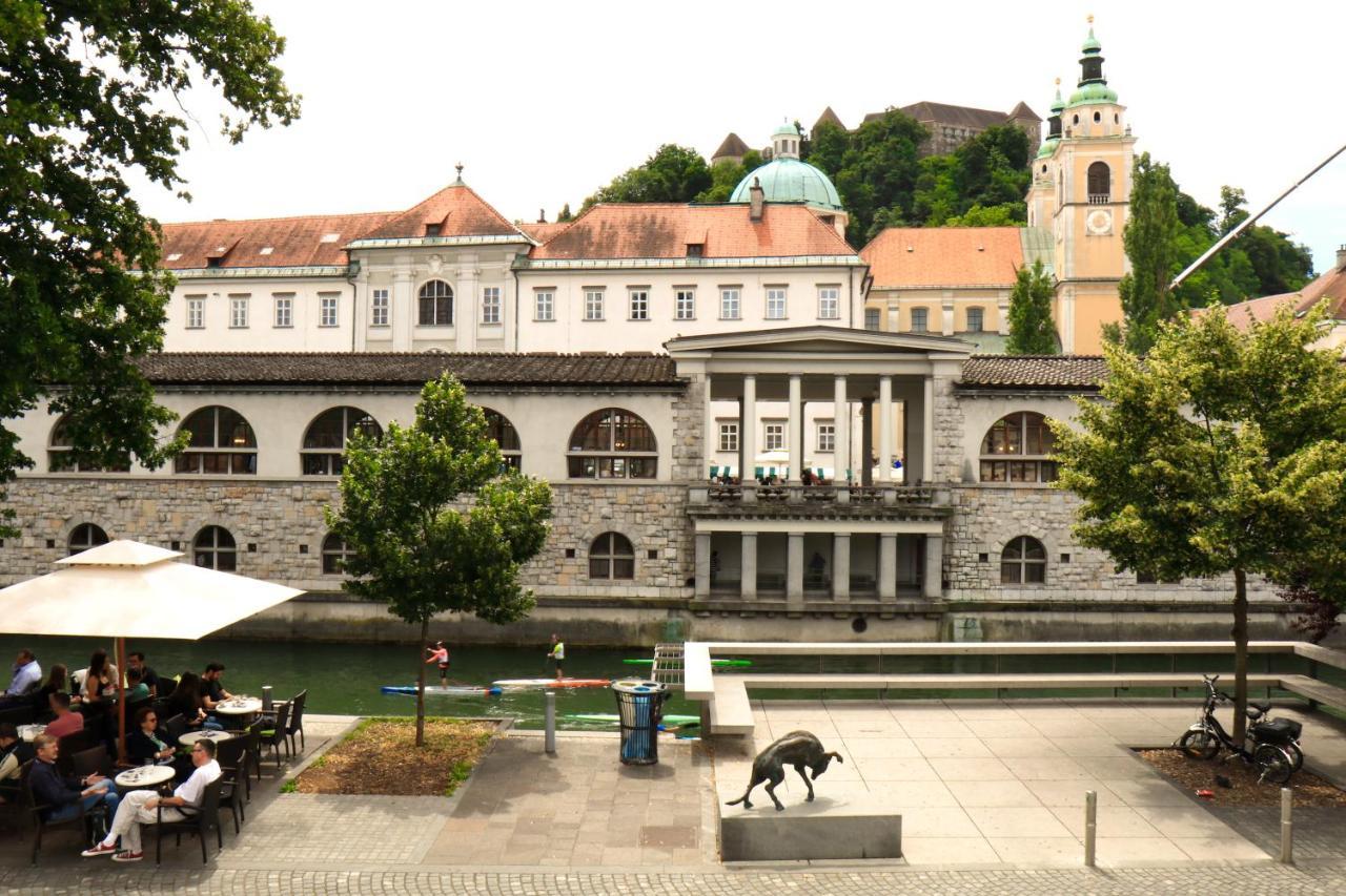 Petkovsek Rooms And Apartments Lubiana Esterno foto